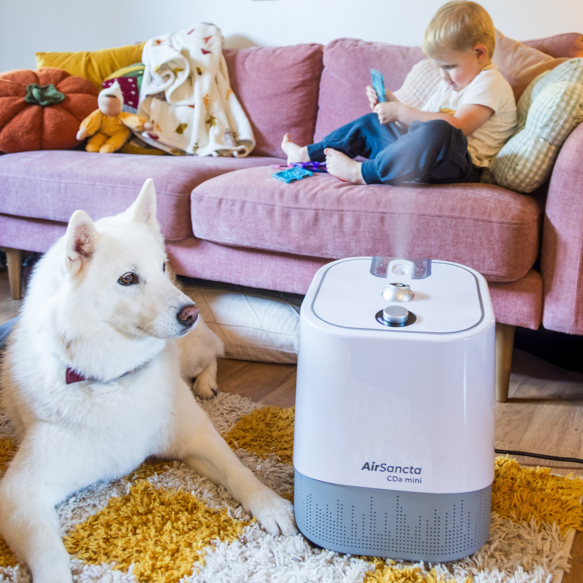 AirSancta® CDa Mini - Pre Order Now